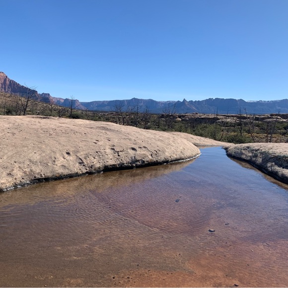 Meet your Posher, Chino - Picture 3 of 3